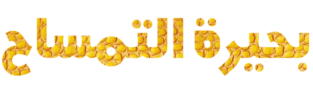 بحيرة التمساح