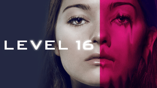 Level 16