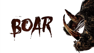 Boar