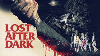 Lost After Dark