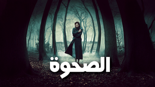 الصحوة
