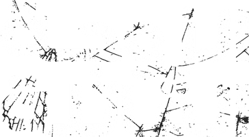 الزوجة القاتلة
