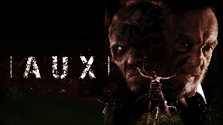 AUX