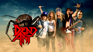 Dead Ant