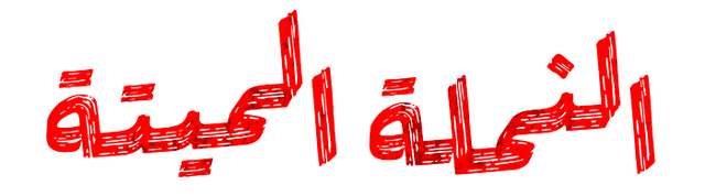 وكر النمل