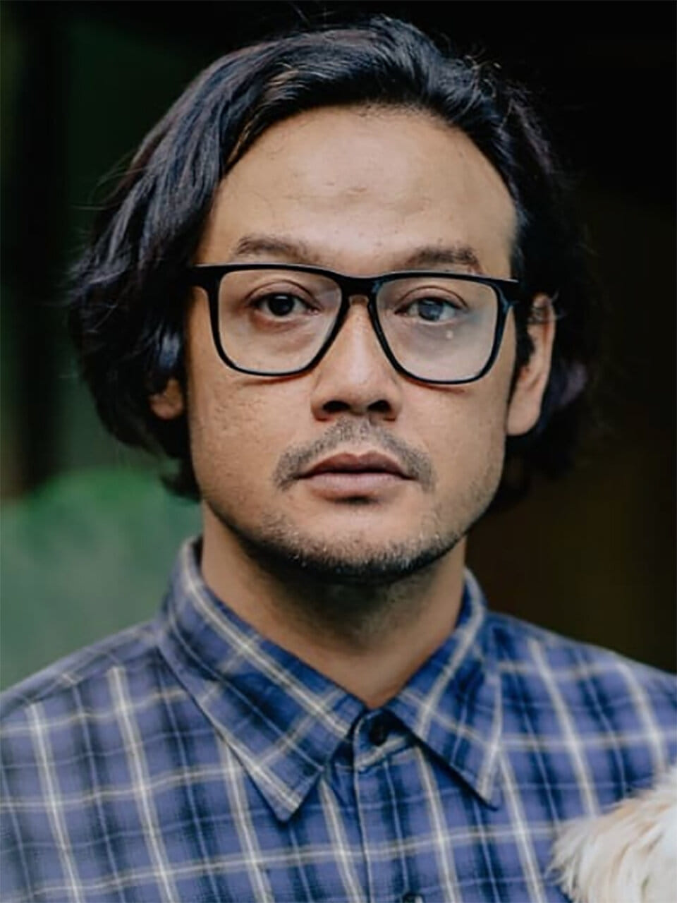 Dwi Sasono