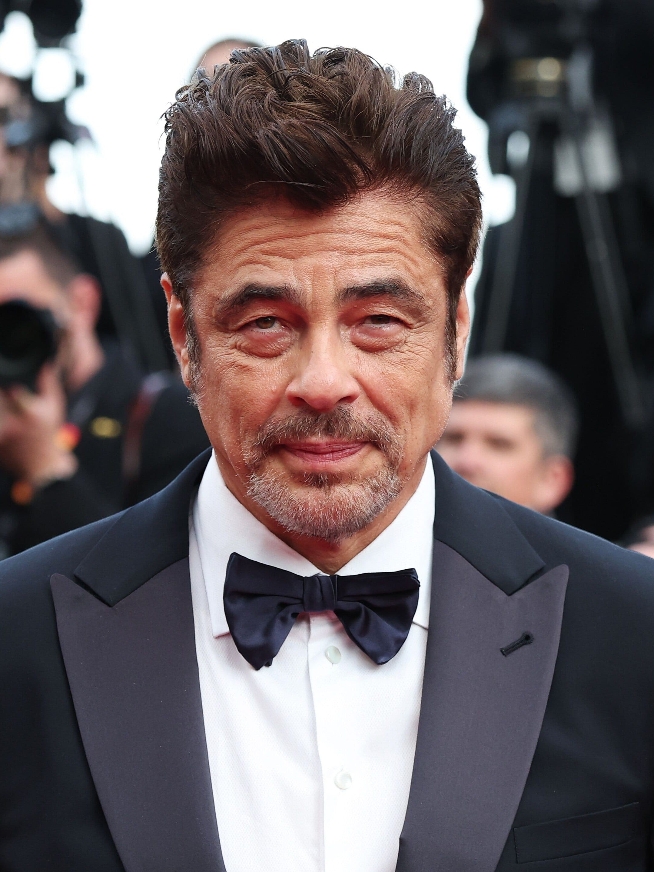 Benicio Del Toro